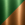 Verde e Bronze 