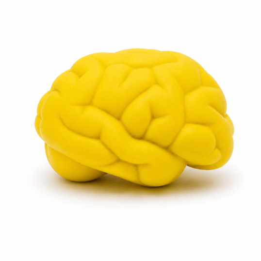 Cérebro AntiStress Vinil Para campanha do Setembro Amarelo Personalizada 
