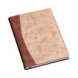 Agenda Diária 2025 para Presente Personalizada