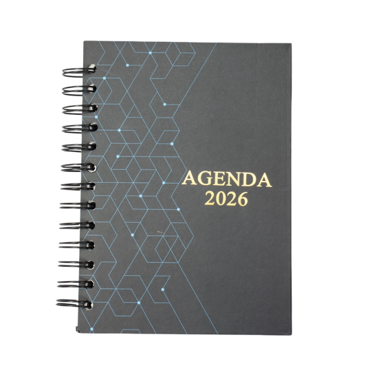 Agenda Diária 2026 Personalizada