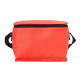 Bolsa Térmica Em TNT 5 Litros Personalizada 