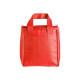 Bolsa Térmica Em TNT 7 Litros Personalizada