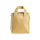 Bolsa Térmica Em TNT 7 Litros Personalizada