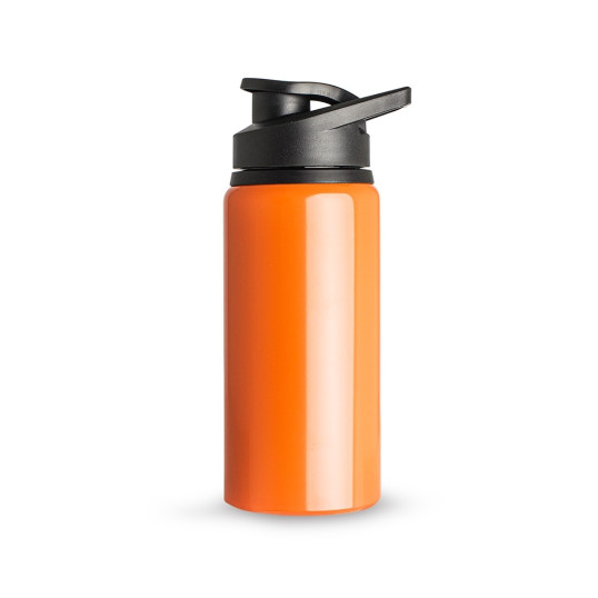 Garrafa de Aluminio Brilhante 650ml Personalizada