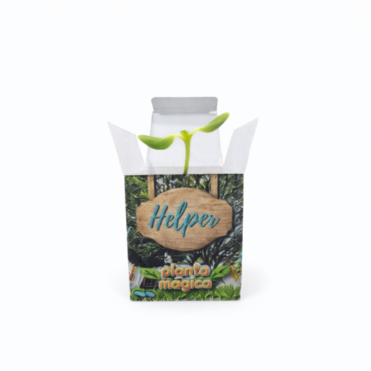 Kit Cultivo Ecobox Personalizado