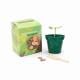 Kit Cultivo Ecobox Personalizado
