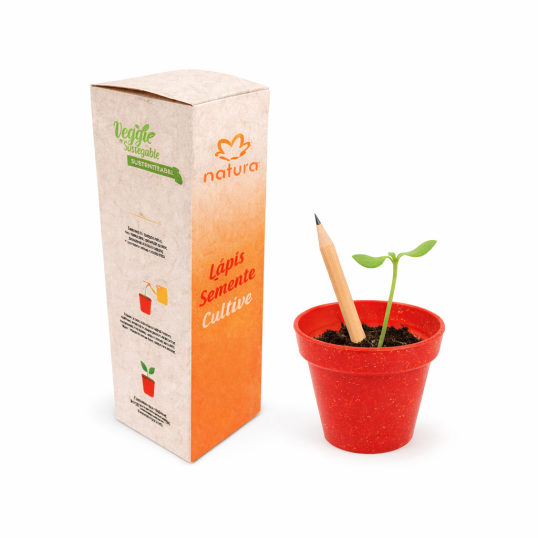 Kit Cultivo Ecológico com Lápis Semente Personalizado