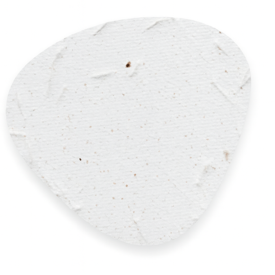 Leque Ecológico de Papel Semente Personalizado