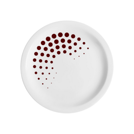 Prato De Porcelana Raso Personalizado